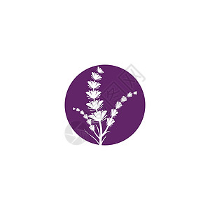 薰衣草 Logo 模板矢量符号草本植物植物花园紫色白色草本叶子香气花束疗法背景图片