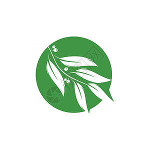 桉树叶标志矢量模板设计植物香气桉树植物学生态草药叶子防腐剂标识绿叶背景图片