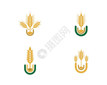 大麦小麦矢量图标它制作图案质量横幅营养谷物金子农场耳朵生长玉米市场插画