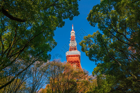 北塔公园日本有蓝天的东京塔正方形电讯都市公园旅行观光天空游客景观红色背景