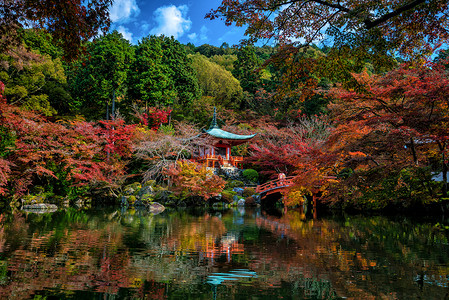 秋天 京都 大地寺庙和多彩的木瓜树女性建筑橙子旅行醍醐宝塔宗教建筑学植物公园背景图片