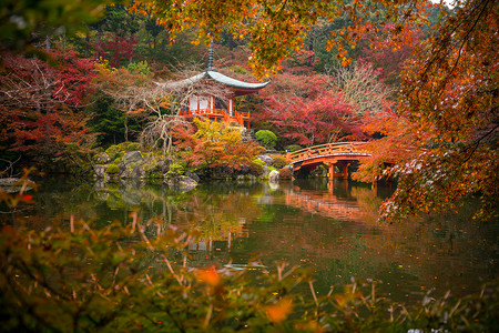 醍醐秋天 京都 大地寺庙和多彩的木瓜树橙子建筑公园神社叶子季节佛教徒建筑学宝塔宗教背景