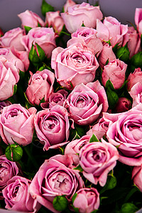浅粉红色的紫罗兰布什玫瑰花作为背景 美丽的夏日花束 与混合花的安排 花店的概念 目录背景图片