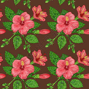 花朵图案芙蓉植物无缝图案的插图背景上植物的花朵和叶子问候语装饰打印生态装饰品植物学墙纸花园织物草本植物背景