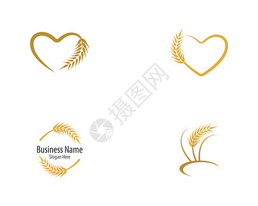大麦小麦矢量图标它制作图案营养面粉插图玉米种子粮食农业面包横幅收成插画
