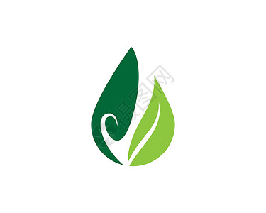 生态自然元素矢量 ico叶子生活公司装饰品美丽标识收藏插图植物环境背景图片