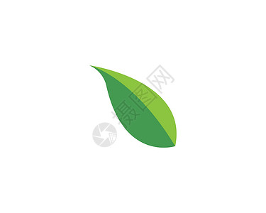 叶生态自然元素矢量 ico标识生活热带装饰品插图公司商业植物环境叶子背景图片