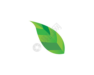 叶生态自然元素矢量 ico生活标识植物环境叶子公司美丽收藏商业热带背景图片