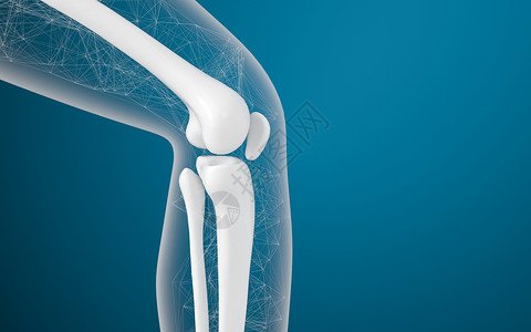 骨骼保健腿骨和膝盖 3D感应渲染胫骨疾病生物学软骨骨骼健康骨科蓝色治疗背景