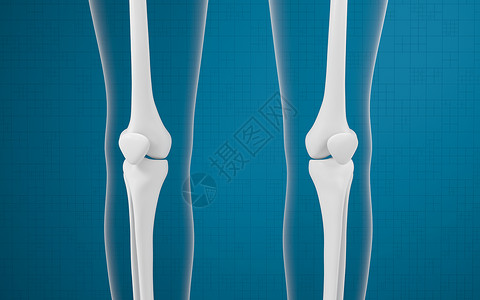 腿骨和膝盖 3D感应疾病外科渲染蓝色胫骨软骨关节解剖学生物学身体背景图片
