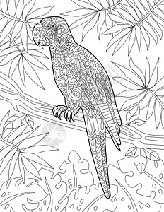 鹦鹉在树枝上休息 上面有绿叶背景无色线条画 凤头鹦鹉站在森林着色书页的树枝上背景图片