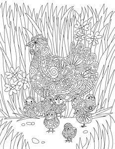 成人着色书小鸡和婴儿在高高的草丛中休息无色线条画 小鸡围着妈妈 花朵和叶子着色书页插画