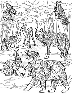 呀诺达雨林文化旅游区不同的森林生物鹿狐狼熊兔与树背景线条画 多种野生动物鹰蛙在丛林背景着色书页设计图片