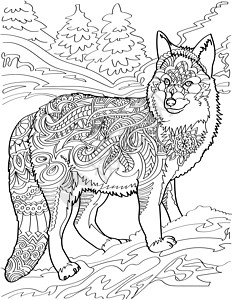 百合花在一边孤独的狼站在一边看着森林背景无色线条画 狐狸站在高大的树木背景下 着色书页设计图片