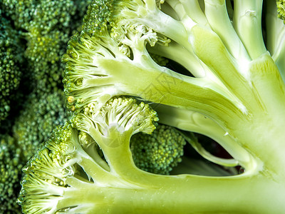 Broccoli 里面新鲜的香料细节宏观饮食食物营养绿色肉质背景图片