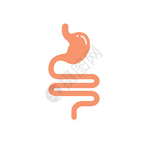 腹部图标胃图标矢量插图设计模板教育手术外科药品肠胃食管腹部检查内窥镜解剖学插画