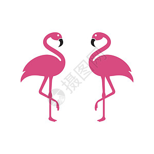 火烈鸟标志模板 vecto打印尾巴程式化黑色野生动物粉色卡片翅膀漫画收藏背景图片