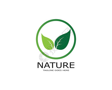 叶生态自然元素矢量 ico叶子插图商业标识植物环境美丽公司生活装饰品背景图片
