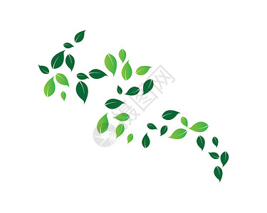 叶生态自然元素矢量 ico商业收藏公司美丽装饰品热带插图环境生活叶子背景图片