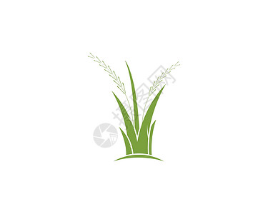 草标志 vecto草地卡通片植物圆形季节性白色插图叶子商业芦荟背景图片