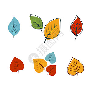 板栗图标秋天元素矢量图标设计它制作图案树叶季节叶子海报橡木森林植物学板栗植物插图插画