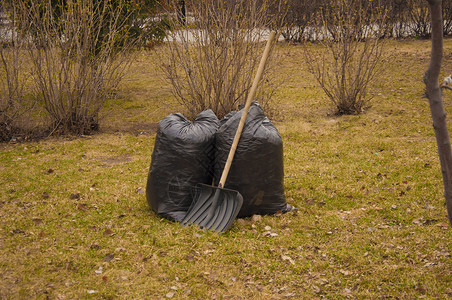 公园里装着落叶的黑色大袋子 可以拿出来 十月 秋天 照顾自然 清理城市公园街道草地生态回收花园打扫环境解雇树叶叶子背景图片