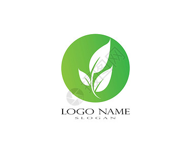 叶生态自然元素矢量 ico标识商业装饰品植物插图公司环境生活热带叶子背景图片