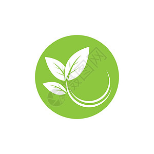 叶生态自然元素矢量 ico收藏生活装饰品环境商业热带植物标识公司叶子背景图片