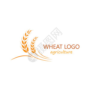 小麦标志模板 vecto粮食农场收成质量标识麸质玉米生长饮食种子背景图片