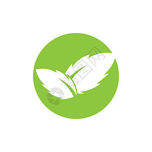 叶生态自然元素矢量 ico叶子插图生活标识环境美丽商业公司收藏装饰品背景图片