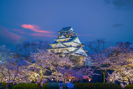 城堡公园樱花季节在大阪城堡的暮光吸引力文化历史地标公园建筑学观光日落天际世界背景