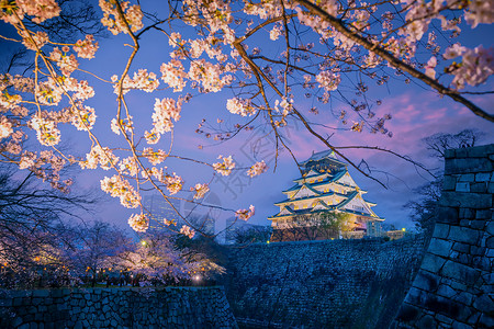 大阪城樱花樱花季节在大阪城堡的暮光堡垒世界建筑学旅行吸引力旅游文化花园遗产日落背景