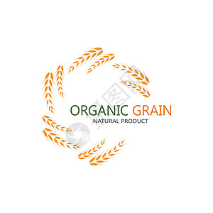农产品质量小麦标志模板 vecto收成营养面包标识标签横幅产品种子饮食植物插画