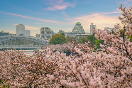 大阪城樱花樱花季节在大阪城堡的暮光堡垒观光历史天际世界公园建筑学文化日落吸引力背景