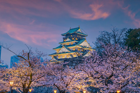 樱花城堡天际线赏花高清图片
