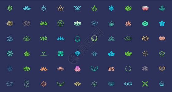 植物和花卉标志设计模板包 适合美容健康事业品牌背景图片
