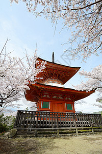 楞严塔岛建筑学神道旅行樱花宗教寺庙旅游遗产宝塔神社背景