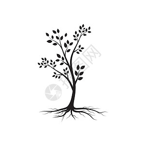 树枝矢量设计插图生长收藏叶子鸽子分支机构树叶卷曲植物群藤蔓插画