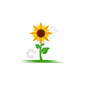 向日葵矢量图标设计插图艺术农业植物群农场圆圈食物生长框架太阳背景图片
