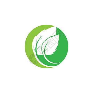 叶生态自然元素矢量 ico装饰品标识收藏插图美丽公司商业生活环境植物背景图片