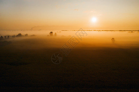 乌克兰惊人的黎明和高高 从自然界四角机拍摄的照片 以图一幅新奇的景象而为例太阳地球农业农村食物农田植物草地烟斗种子背景图片