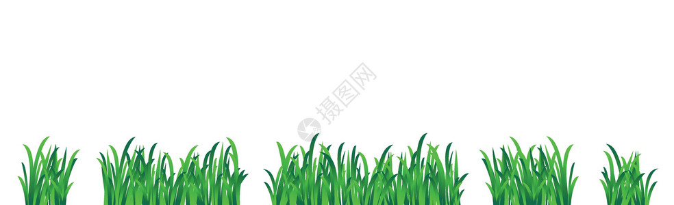 郁郁葱葱白色背景的绿色多汁绿草植物群场地生长插图边界植物学叶子绘画公园草本植物插画