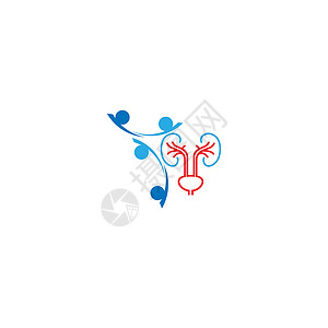 泌尿外科标志肾脏标志图标健康医院帮助艺术科学插图泌尿科诊所生物学标识器官背景图片