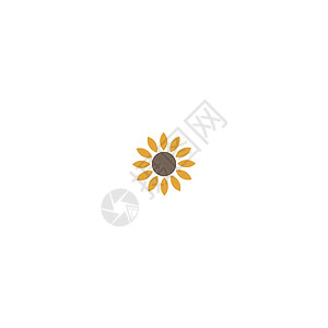 太阳花标志图标概念摄影绿色艺术圆圈工作室创造力插图标识太阳金融背景图片