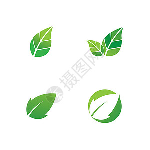 叶生态自然元素矢量 ico环境商业叶子插图生活标识植物收藏美丽热带背景图片