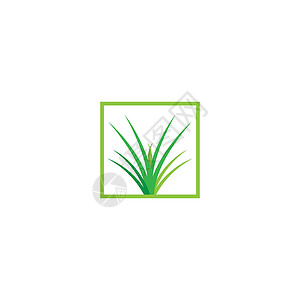 草标志 vecto绿色插图生态创造力商业芦荟白色叶子植物季节性背景图片