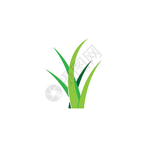 草标志 vecto插图卡通片创造力叶子季节性白色植物圆形草地生态背景图片
