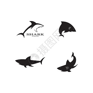 鲨鱼标志矢量模板潜水荒野野生动物游泳脚蹼蓝色鲸鱼生活捕食者海洋背景图片