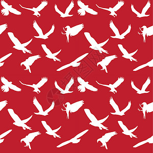 鸽子矢量图鹰符号设置无缝模式 矢量图 每股收益 10鸽子荒野插图生活翅膀麻雀家禽按钮团体野生动物插画