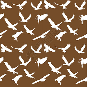 鸽子矢量图鹰符号设置无缝模式 矢量图 每股收益 10插图鸽子绘画自由羽毛荒野翅膀键盘热带生活插画